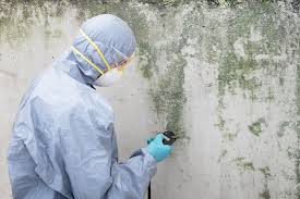 Mold Removal for HVAC Installations in Beattyville, KY